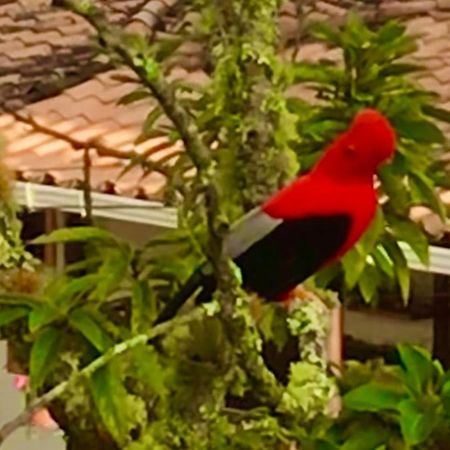 Casablanca Lägenhet Jardín Exteriör bild